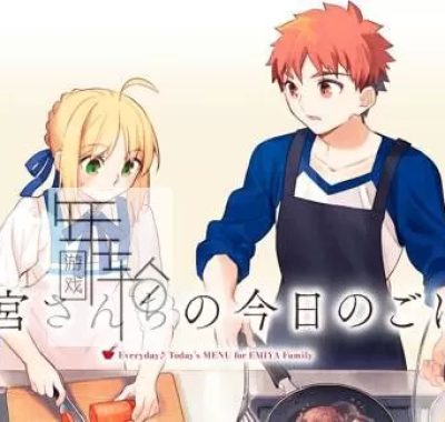 switch游戏《卫宫家今天的饭/毎日? 衛宮さんちの今日のごはん》美版nsp/xci整合版下载【1.1.1补丁+DLC】