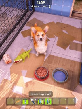 动物收容所2/Animal Shelter 2