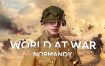 世界大战：诺曼底登陆 World At War: Normandy 中文 nsz 网盘下载