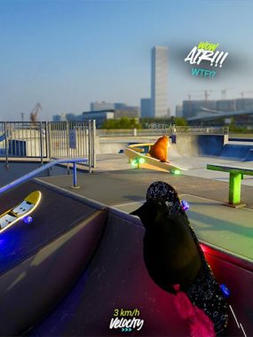 《滑板漂流与麦克斯韦猫:游戏模拟器 Skateboard Drifting with Maxwell Cat: The Game Simulator》Switch版+1.0.0补丁