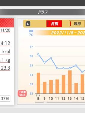 《家庭培训-[最少 4 分钟] 肌肉训练》Switch版+1.1.0补丁+7DLC