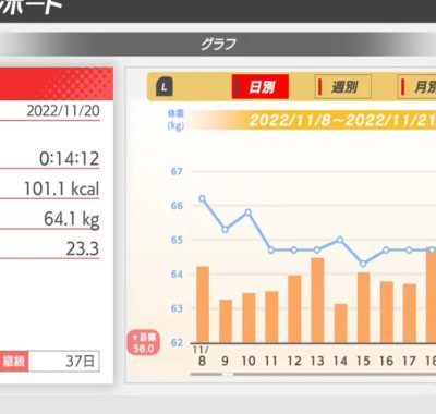 《家庭培训-[最少 4 分钟] 肌肉训练》Switch版+1.1.0补丁+7DLC