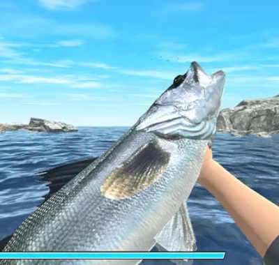 switch游戏《Reel Fishing: Road Trip Adventure》英文版nsp下载
