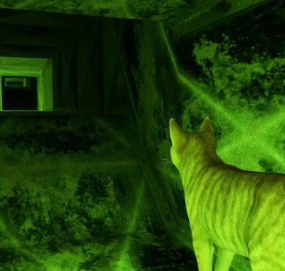 [NSZ] [小猫大营救2].Little Strays 2 美版中文+1.1.0补丁+1DLC